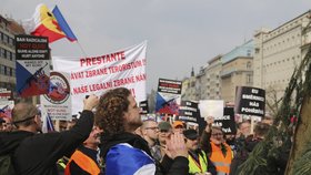 Proti směrnici demonstrovalo v době jejího schvalování v Praze několik desítek lidí.