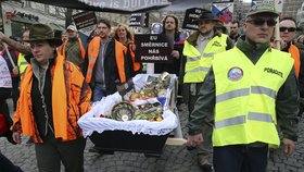 Odpůrci směrnice EU o zbraních protestovali v centru Prahy.