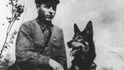 2. Psi s bombami – Ruská armáda trénovala psy, které pak posílala proti německým tankům jako živé výbušniny. Tito psi se však často v chaosu konfliktů obraceli proti svým ruským pánům nebo bomby na psech vůbec nevybuchovaly