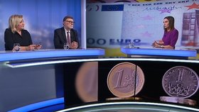 Zbyněk Stanjura (ODS) a Alena Schillerová (ANO) debatovali v ČT mj. o přijetí eura.