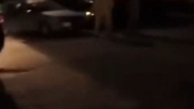 Ve Žďáru nad Sázavou se do sebe pustily desítky lidí.