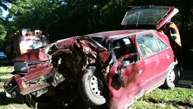 Z felicie moc nezbylo: Řidič nehodu u Žďáru nepřežil.