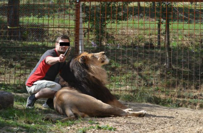 Muže ve Zděchově rozsápal lev: Zvíře chovali načerno.