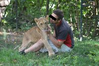 Tygr zabil studenta, slonice ošetřovatele: Exotická zvířata v Česku zabíjejí zřídka