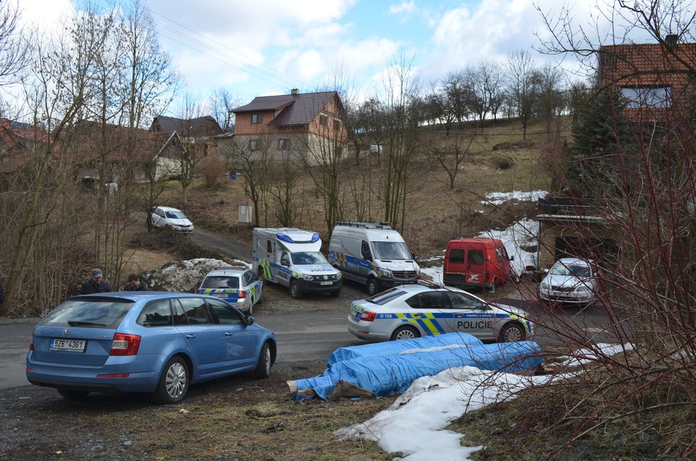 Chovatele ve Zděchově zabil jeho lev Fufi.