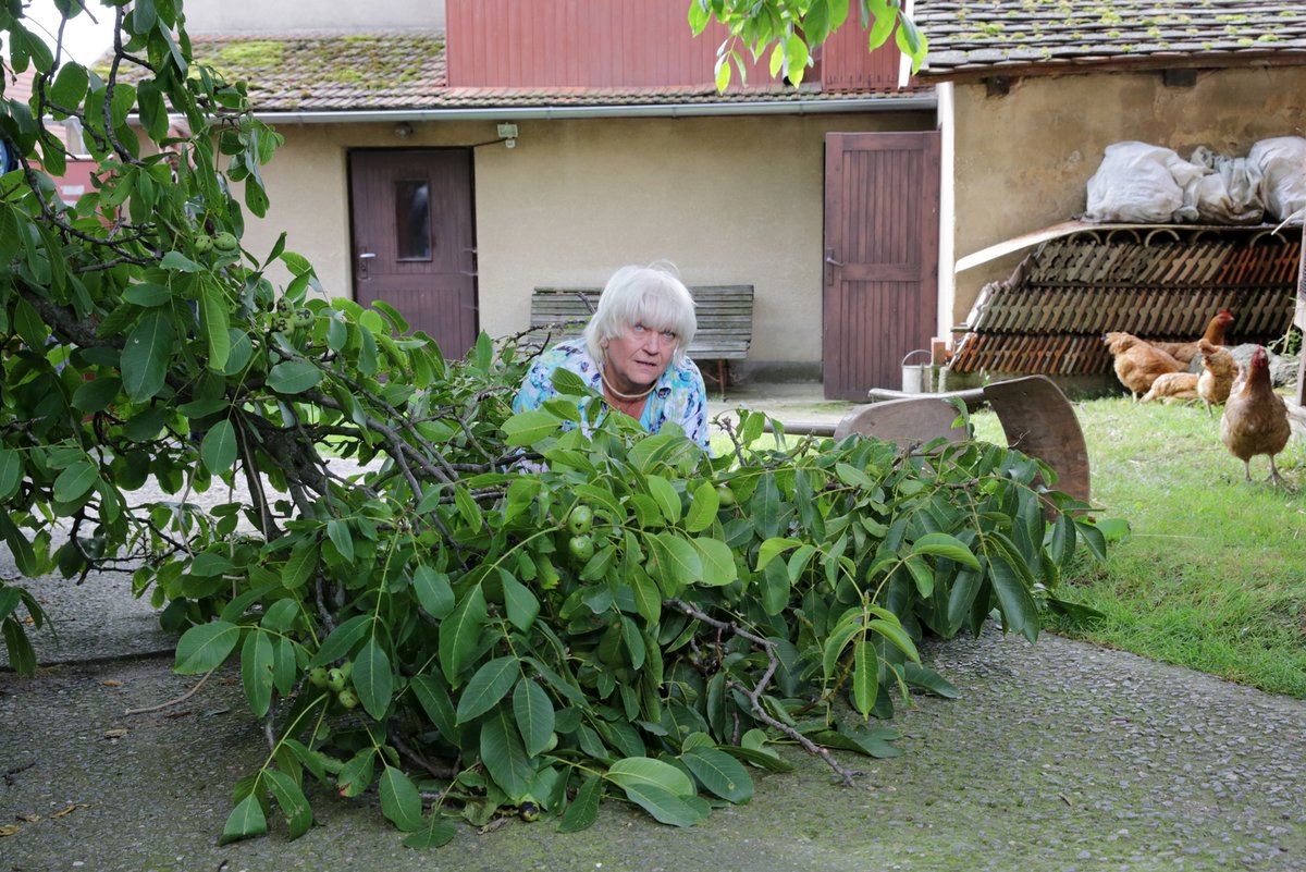 Zdena Herfortová 