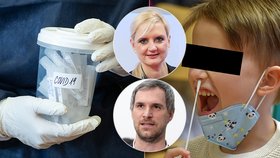 Pražský primátor Zdeněk Hřib (Piráti) a hejtmanka Středočeského kraje Petra Pecková (STAN) chtějí, aby stát povolil testování dětí ve školách pomocí PCR testů.