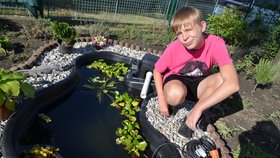 Vnuci po zemřelém dědovi (+70), starší Daniel (13) a mladší Dominik (11) jsou v nejtežších chvílich vytíženi hezkými prožitky u opatrovníka Zdeňka K.