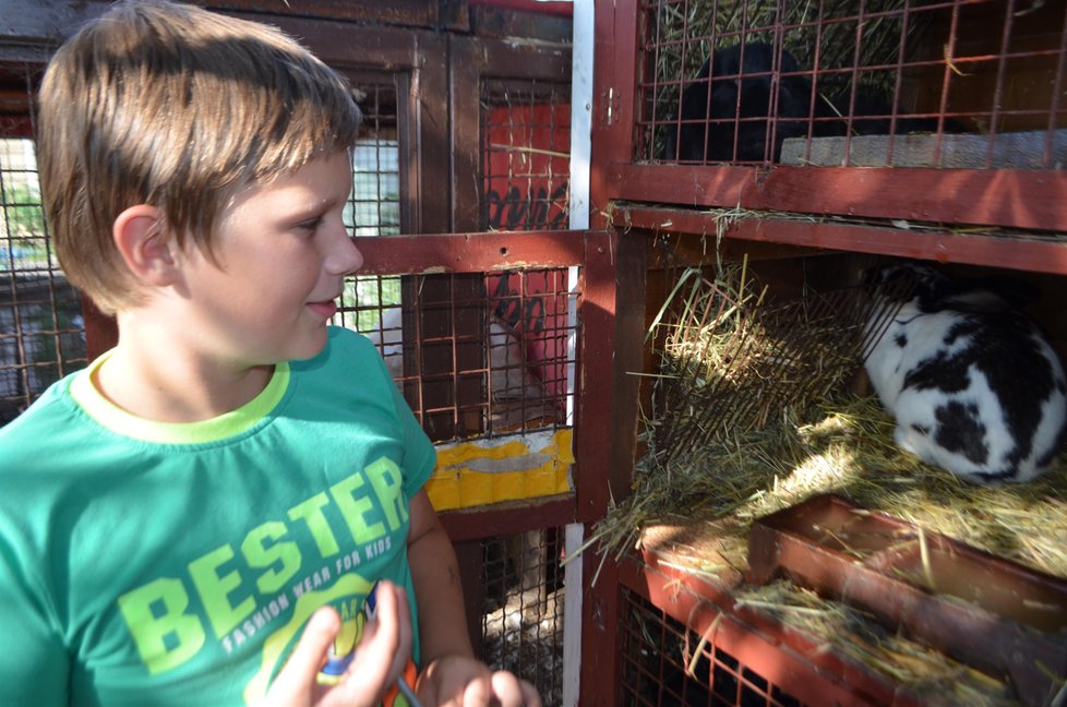 Vnuci po zemřelém dědovi (†70), starší Daniel (13) a mladší Dominik (11) jsou v nejtěžších chvílích vytíženi hezkými prožitky u opatrovníka Zdeňka K.