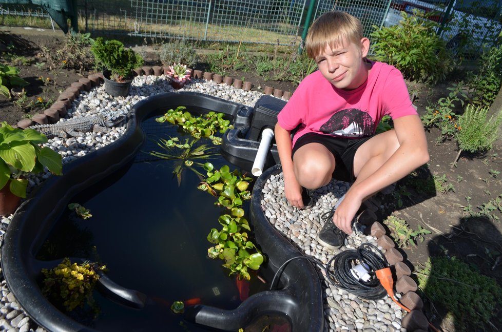 Vnuci po zemřelém dědovi (+70), starší Daniel (13) a mladší Dominik (11) jsou v nejtežších chvílich vytíženi hezkými prožitky u opatrovníka Zdeňka K.