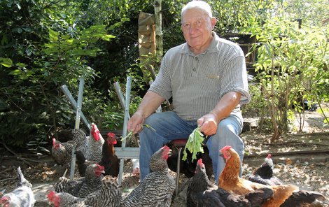 Populární »kachny, kachny, kachny« mu doma chybějí. Zato kromě slípek má ještě králíky, psa i kočku.