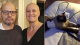 Pohlreichova žena: Přístrojem na rakovinu léčí kočku!
