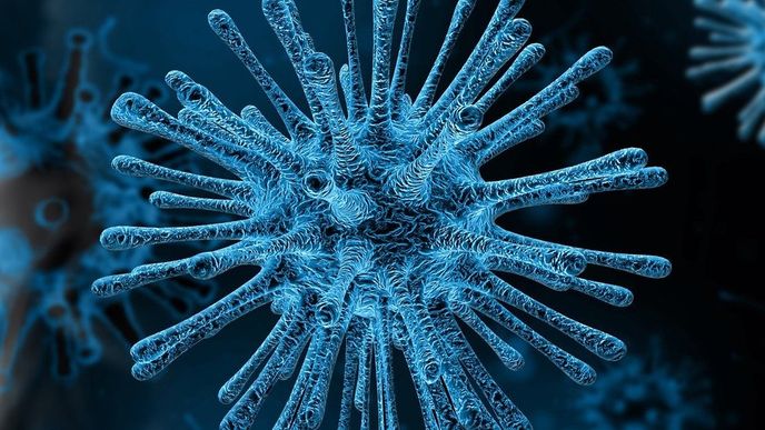 Koronavirus Koronavirus