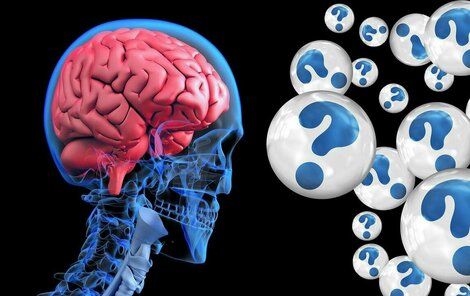 Mozek a paměť