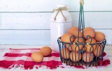 Vše o vejcích: V čem mohou škodit a kolik jich sníst denně?