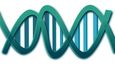 DNA - ilustrační foto