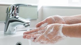 Ruce si v chřipkovém období myjte pečlivě a několikrát denně