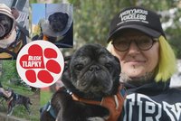 Max zůstává v doživotní péči. S nákladnou veterinou pomohou Blesk tlapky