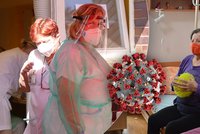 Koronavirus v Praze: Lůžka zatím stačí, chybí ale lidé. Červený kříž shání dobrovolníky pro péči o nakažené