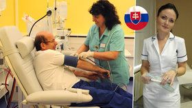 Šest stovek zdravotních sestřiček na Slovensku údajně podá příští týden výpověď. Českému zdravotnictví by se hodily. (ilustrační foto)