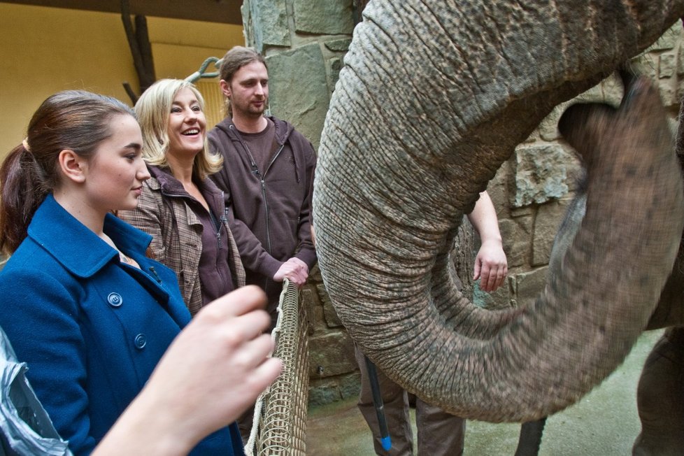 Vanda Hybnerová s dcerami Josefínou a Toničkou blahopřeje slonici Rashmi k jejím prvním narozeninám.