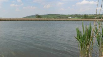 Šlechtická rodina Kinských chce za stovky milionů revitalizovat největší rybník Středočeského kraje