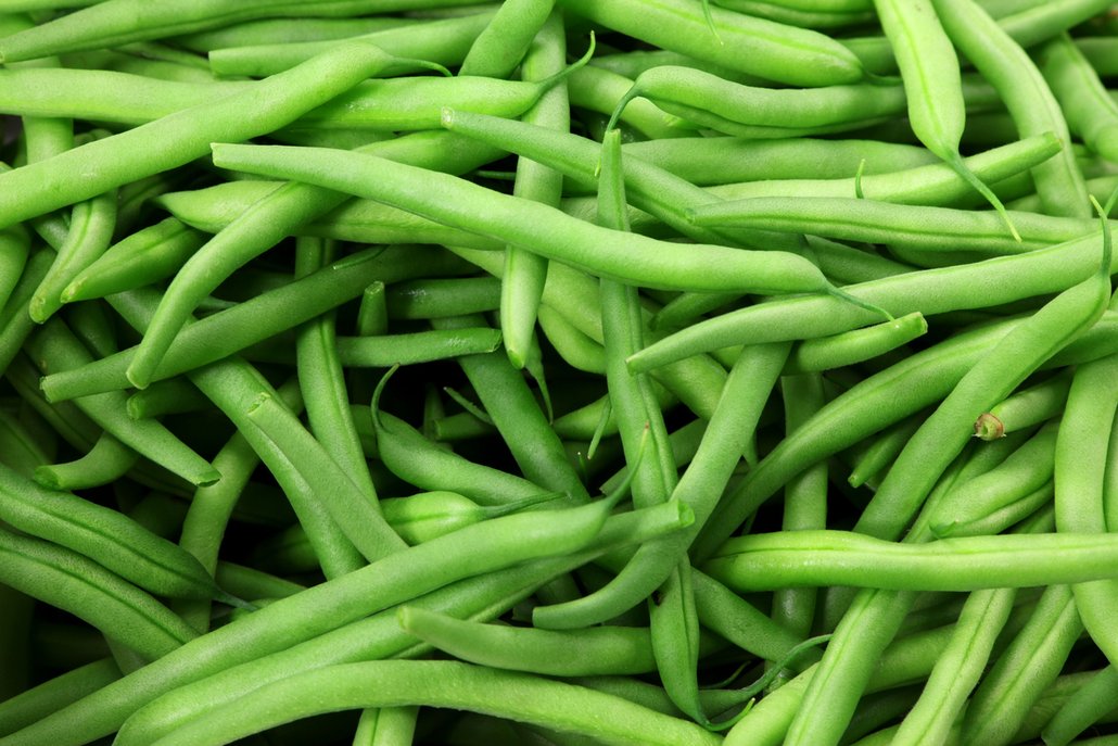 Zelené fazolky fazolky můžete zamražené už koupit, ale nikdy nebudou mít takovou chuť jako doma vypěstované