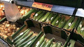 Ceny zeleniny v českých supermarketech (1.6.2023)
