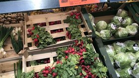 Ceny zeleniny v českých supermarketech (1.6.2023)
