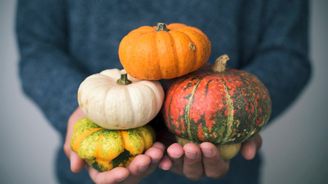 První veganská mateřská škola v Německu: Progresivní vzdělávání nebo fyzické zneužívání dětí?