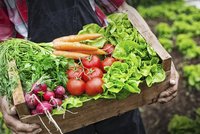 Sucho decimuje peněženky Čechů: Zelenina v obchodech podražila o 80 procent