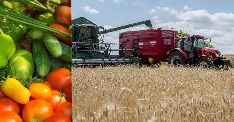 Do Česka se dováží hodně zemědělských produktů, ceny kvůli tomu mohou růst.