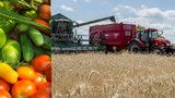 Češi dováží zeleninu za miliardy, zemědělci pěstují trávu. A ceny letí nahoru