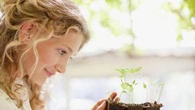 Není třeba čekat na jaro, zeleninu si můžete předpěstovat doma. Právě v únoru je proto ten nejlepší čas!