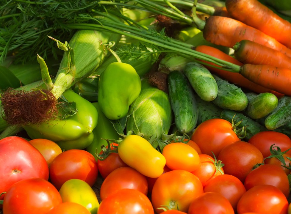 Zeleninu naopak odborníci doporučují také kvůli možnému výskytu salmonely mýt.