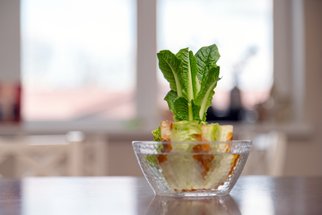 Nekonečná zelenina: Vypěstujte si salát, mrkev nebo zázvor ze zbytků