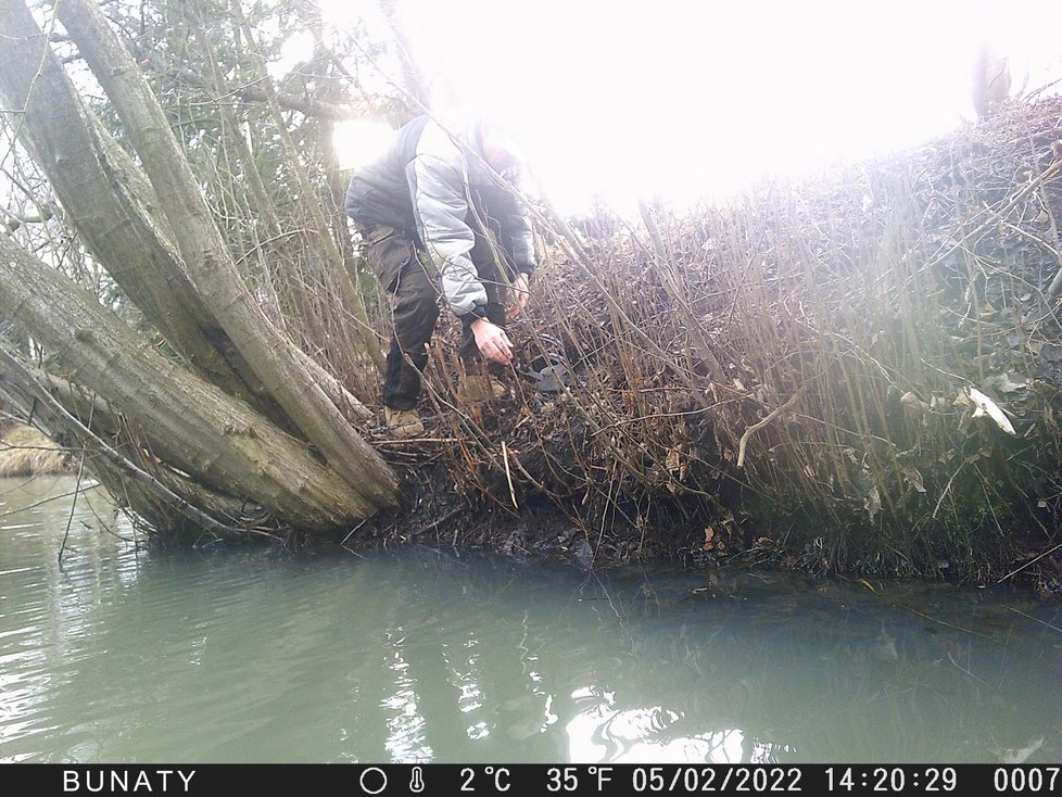 Kamera ochránců zachytila muže, který k rybníku železa nastražil.