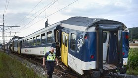 Ke srážce došlo kolem sedmé hodiny večer asi 50 kilometrů od švýcarské metropole Bernu.