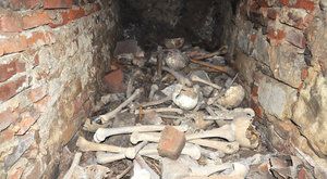 Mrtví střeží tajemství: Tajná místnost kláštera v Želivě odhalena