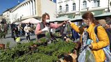 Zelný trh v Brně otevřel: Lidé ho vzali útokem! Ke koupi sazeničky a bylinky, pak i maso