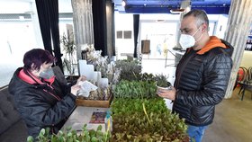 Místo Zleného trhu v Brně mohou farmáři nabízet své výpěstky v kavárně Podobrazy, která se změnila v zahradnictví.