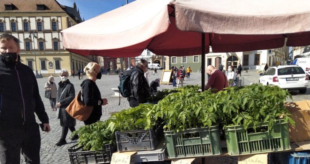 S koncem nouzového stavu se v pondělí 12. dubna 2021 otevřel Zelný trh v Brně, nejstarší nepřetržitě provozované tržiště se zeleninou a rostlinami ve střední Evropě.