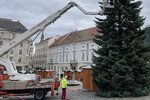 Vánoční strom na Zelném trhu v Brně.