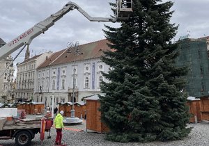 Vánoční strom na Zelném trhu v Brně.