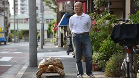 Japonec na vycházce se svou želvou