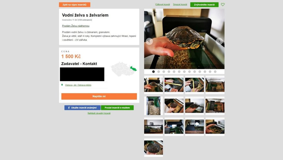Lidé dál nabízejí k prodeji želvy nádherné, ačkoliv je jejich chov zakázaný.