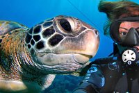 Želví selfie: Zamilované karety obrovské!