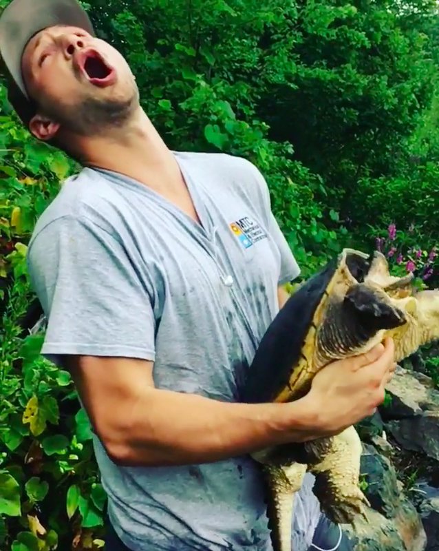 Hloupý nápad mladého rybáře: Snaha políbit želvu se mu vymstila