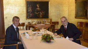 Prezident Miloš Zeman se setkal s premiérem Andrejem Babišem. Probírali Babišovu cestu do USA. (26.2.2019