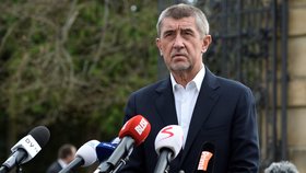 Andrej Babiš informoval Miloše Zemana na zámku v Lánech o tom, že se hnutí ANO vrací k jednání o vládě s ČSSD. Prezident to prý akceptuje